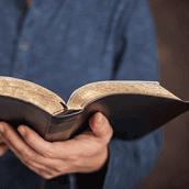 Отзывы деятелей науки